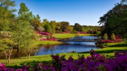 Rozpoczęcie zajęć grupy początkującej